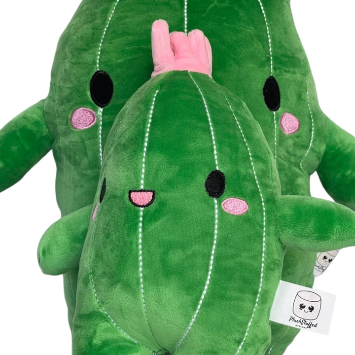 Cactus Squishmallow 