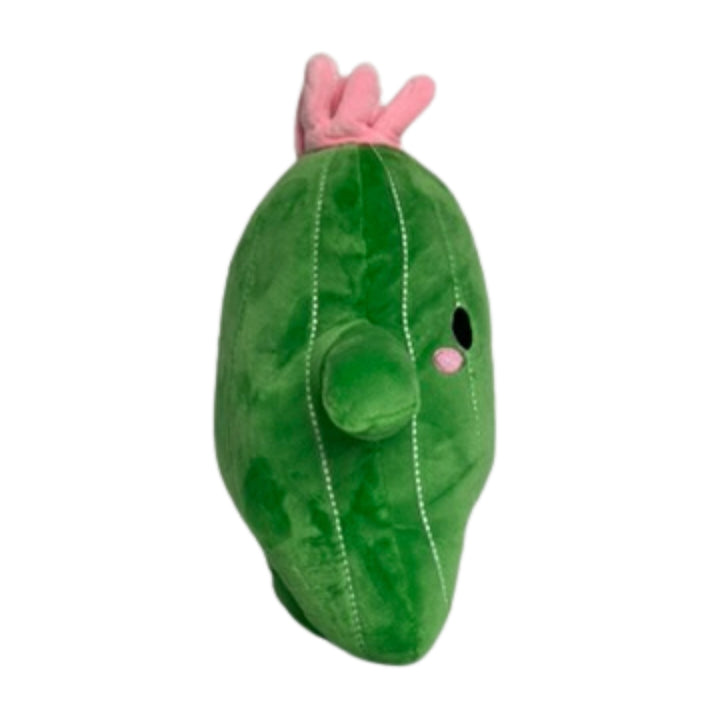 Cactus Squishmallow 